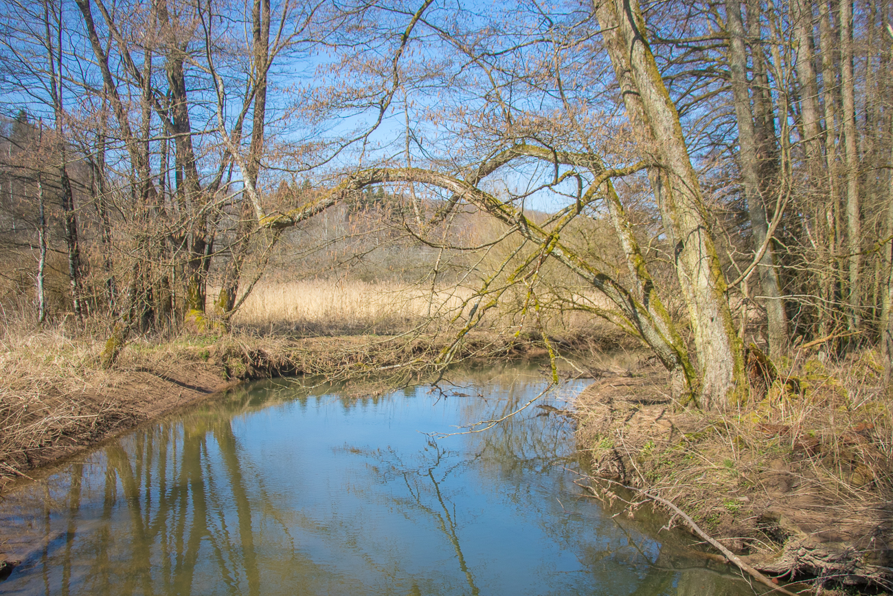 Wir überqueren die Schwalb 