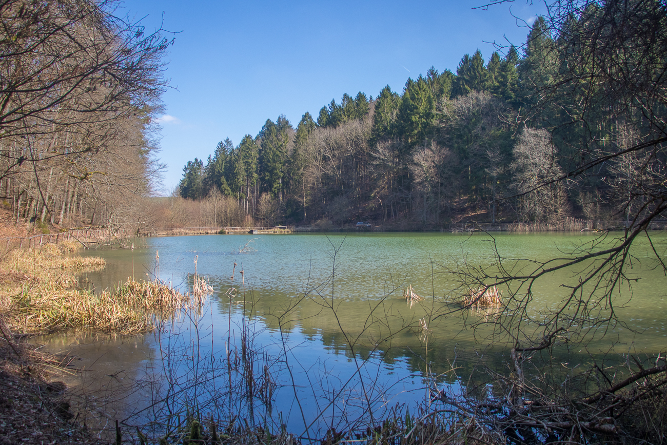 Am Becherbach-Teich 