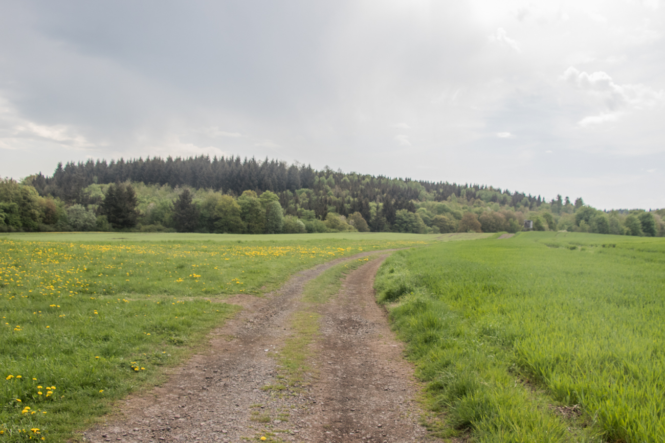 ... durch die schöne Pfalz