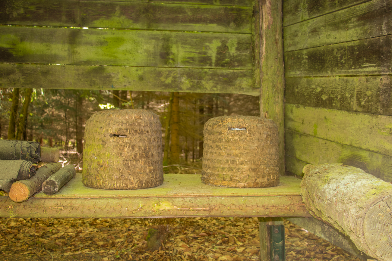 ... und deren häuslichen Verwandten 