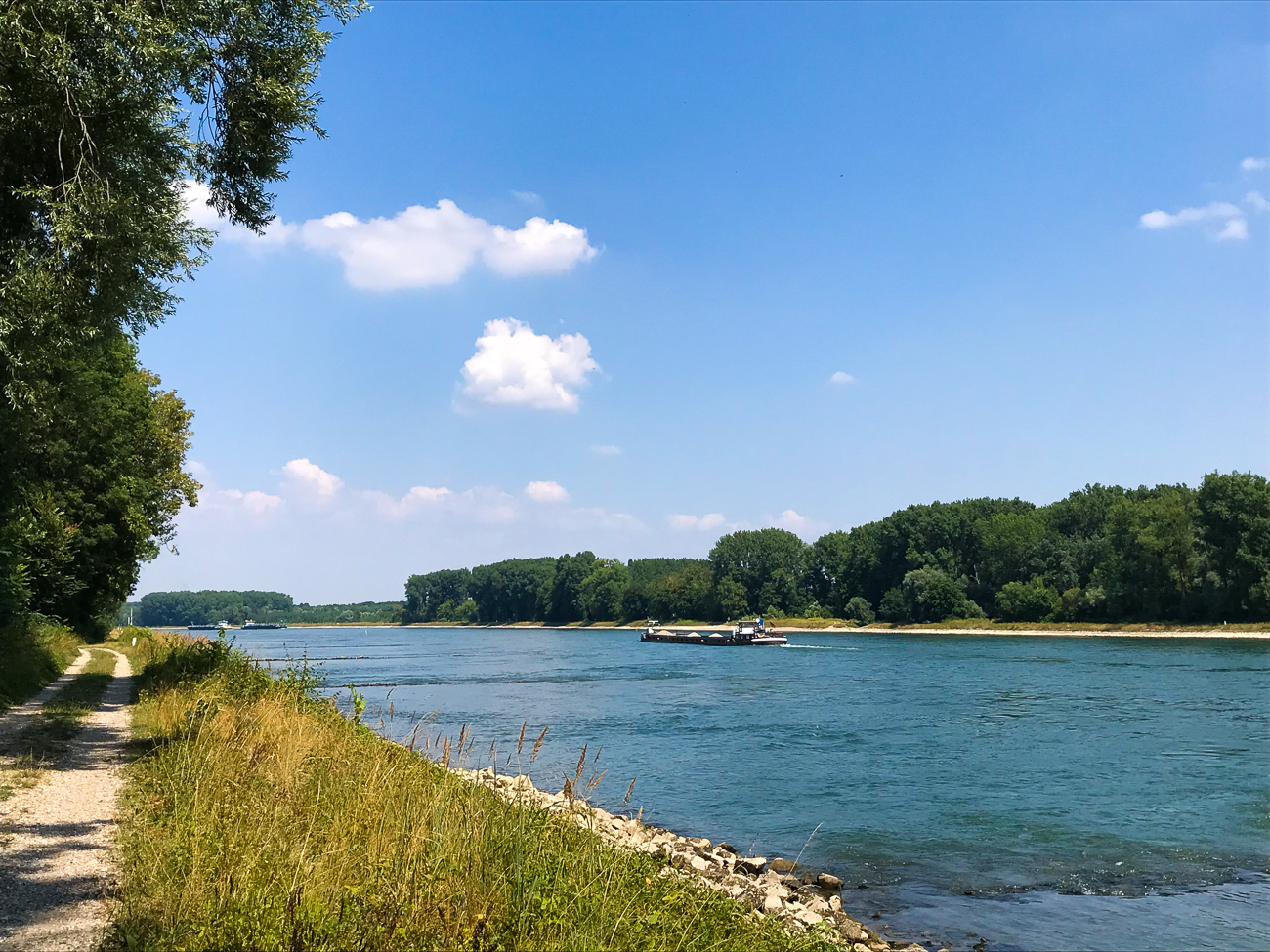 Am Rhein
