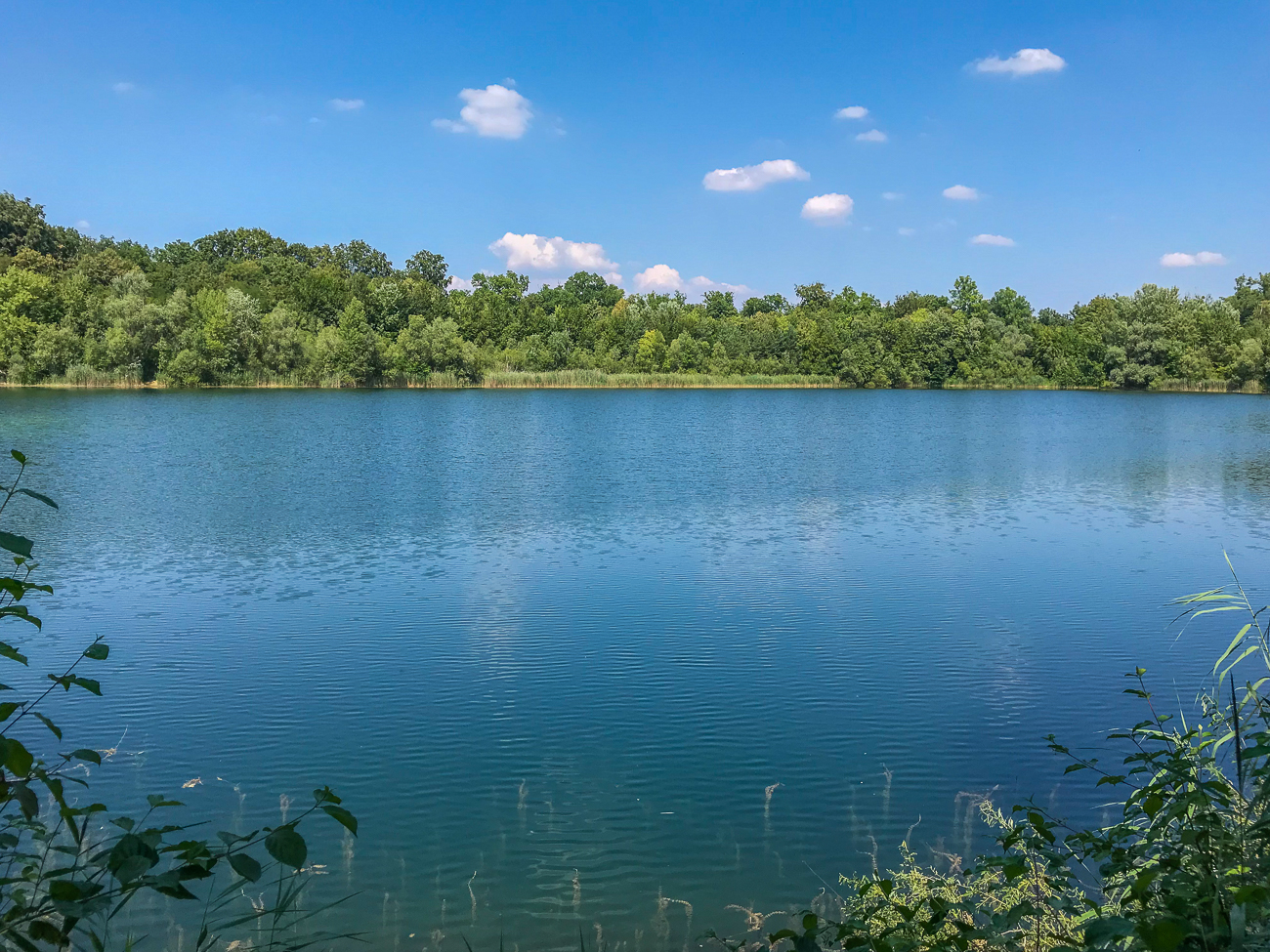 Angelteich im Auenwald