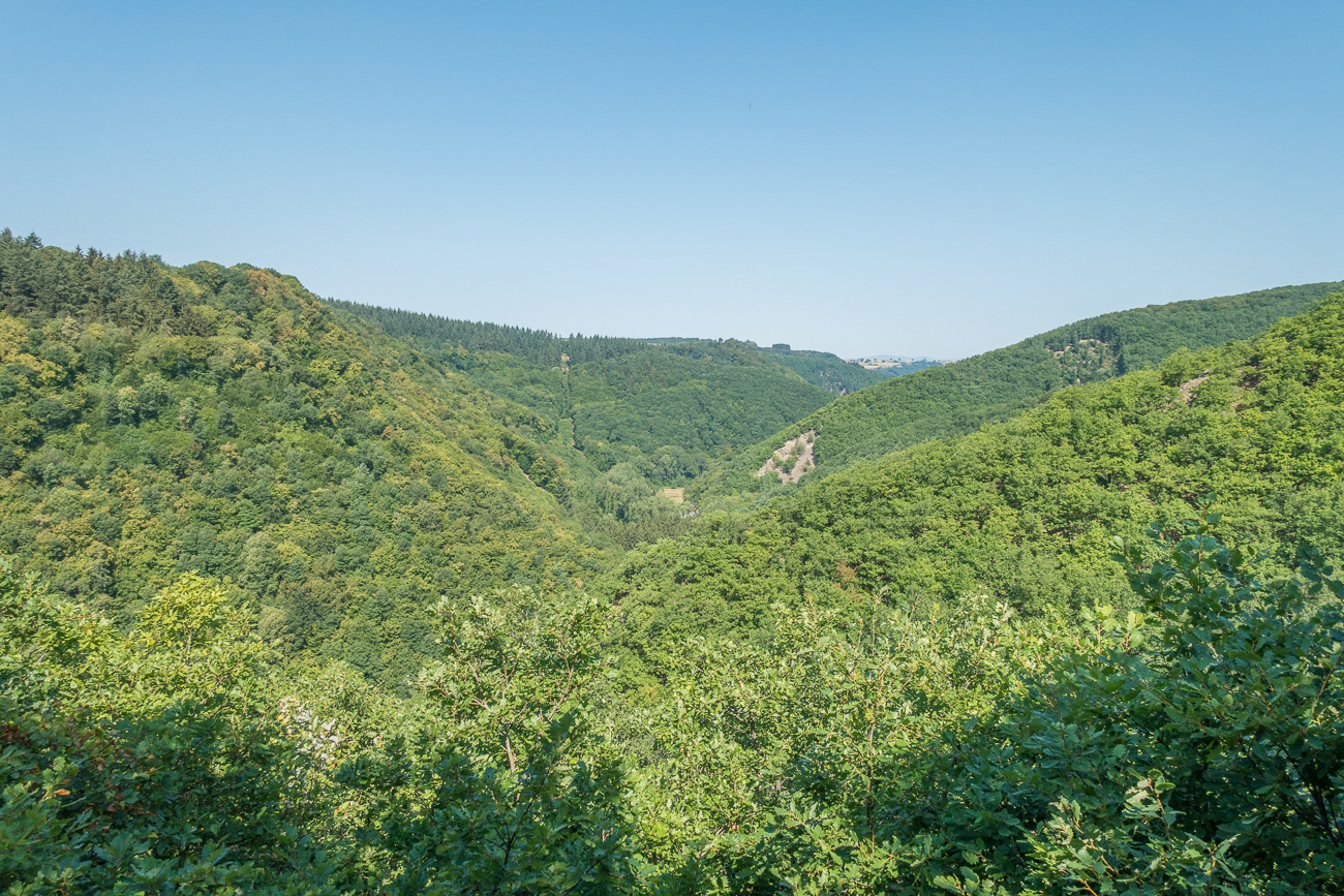 Blick ins Tal zur Brandengrabenmühle