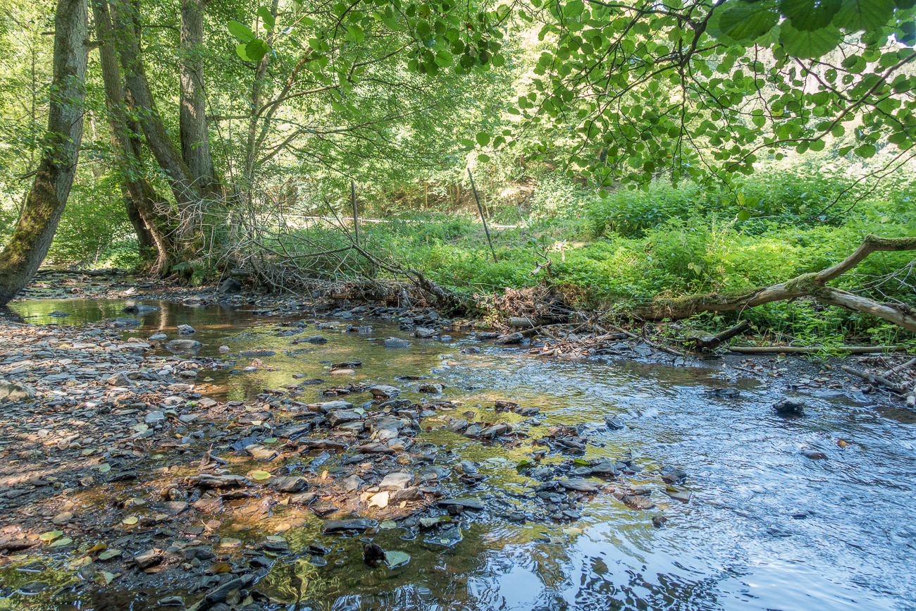 Der Ehrbach in der Klamm