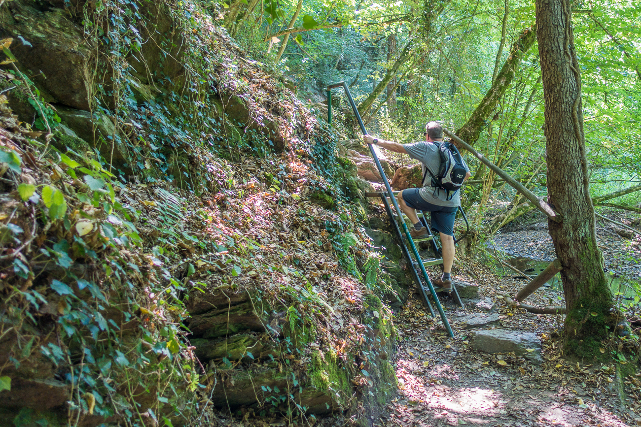 Manchmal muss man über Leitern steigen
