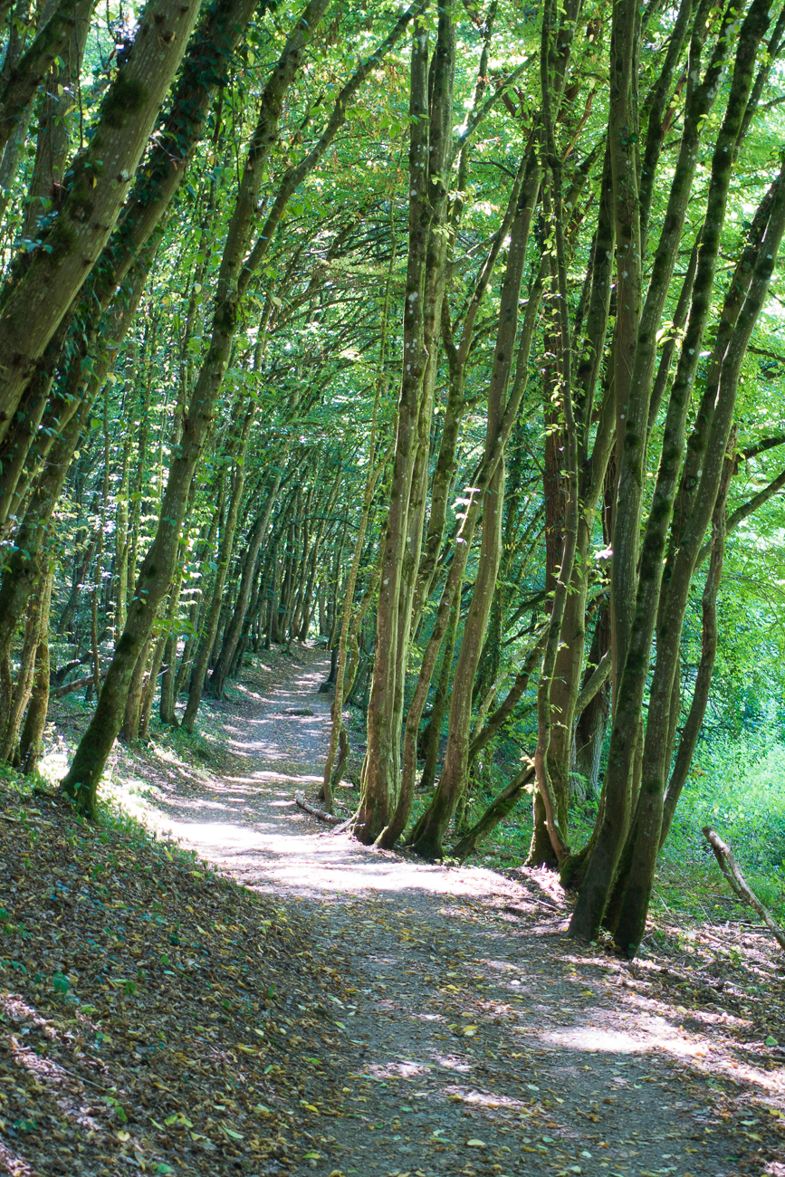 Wanderweg in der Klamm