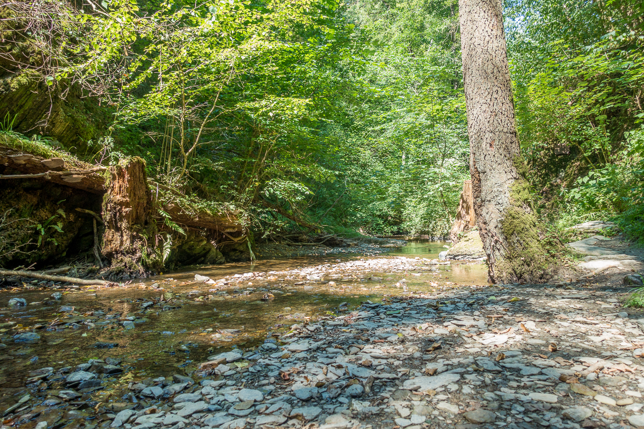 Wanderweg in der Klamm