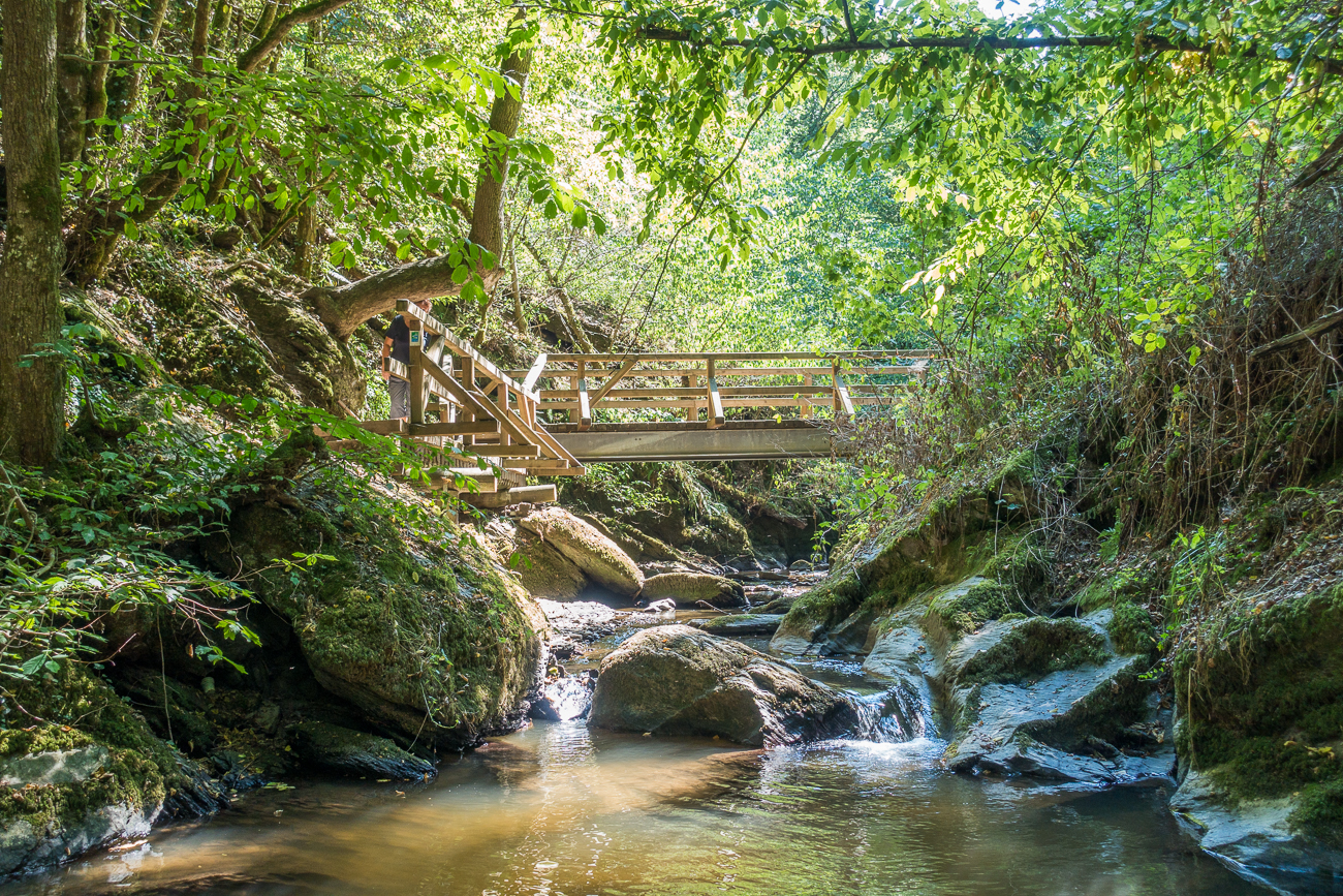 Brücke über den Ehrbach