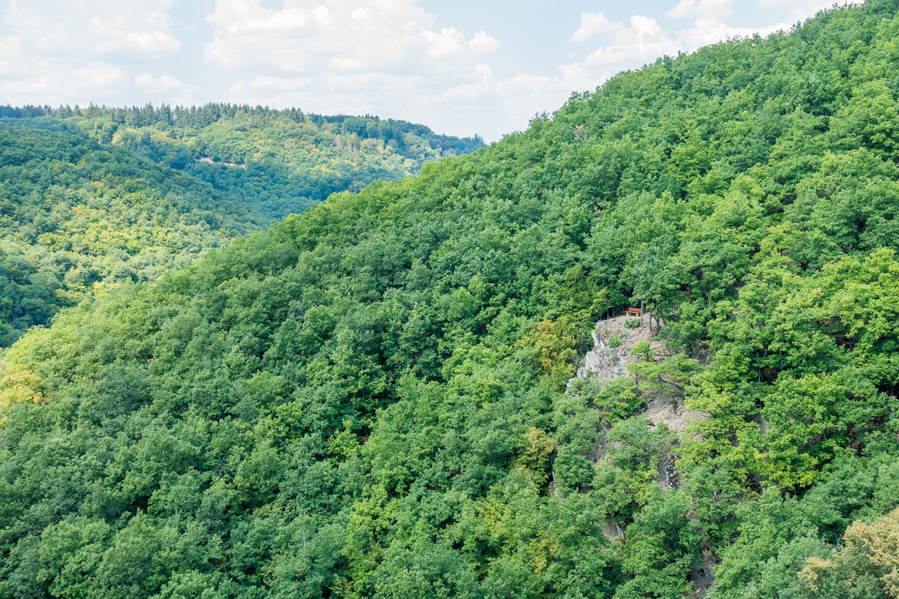 An dieser Bank kommen wir gleich vorbei