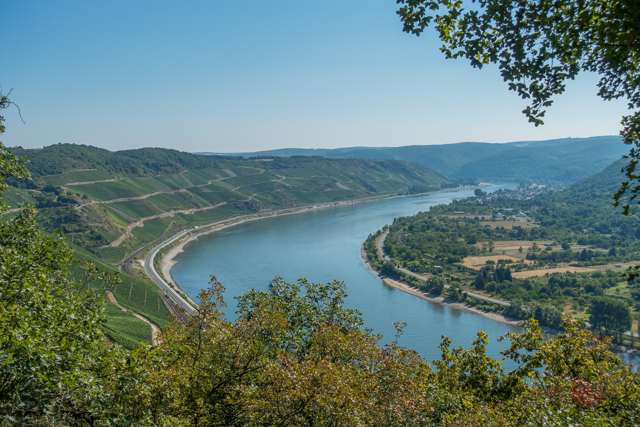 Nochmals der Rhein