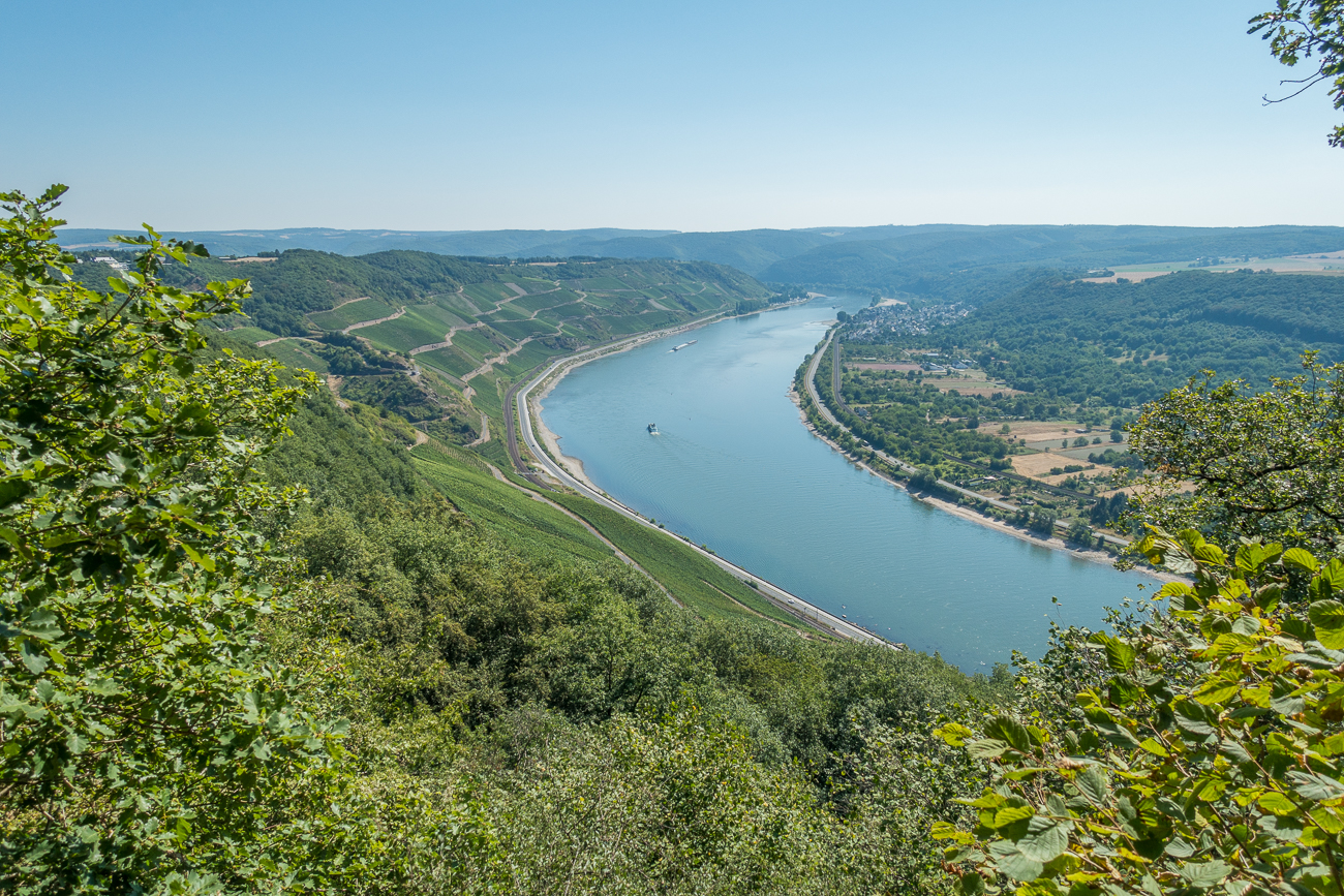 Rheinblick