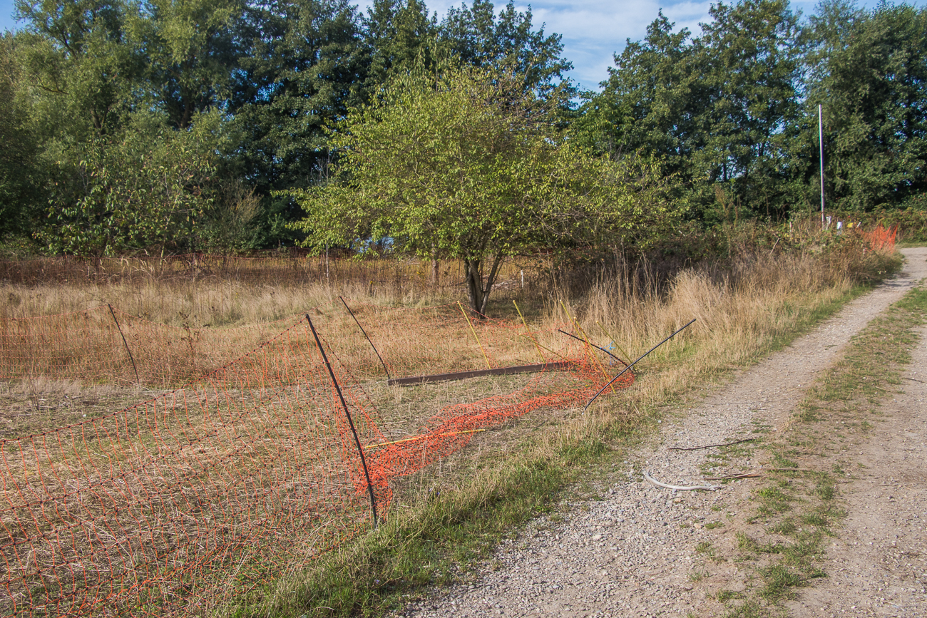Der niedergetrampelte Zaun