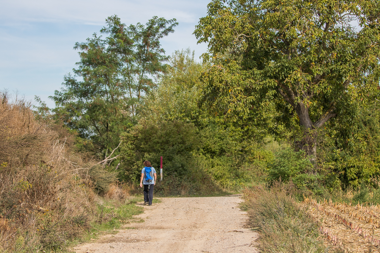 Versteckter Maiskolben ;-)