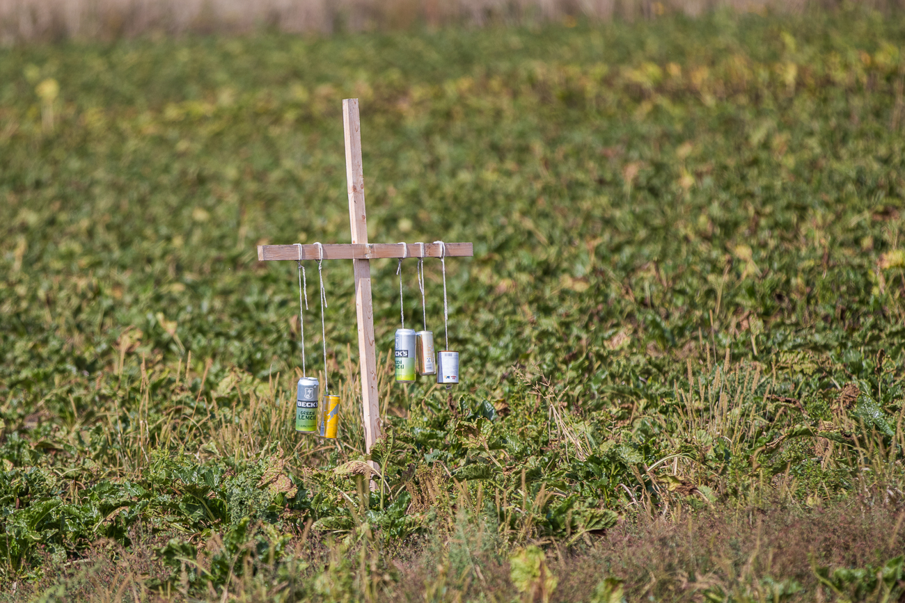 Moderne Vogelscheuche?