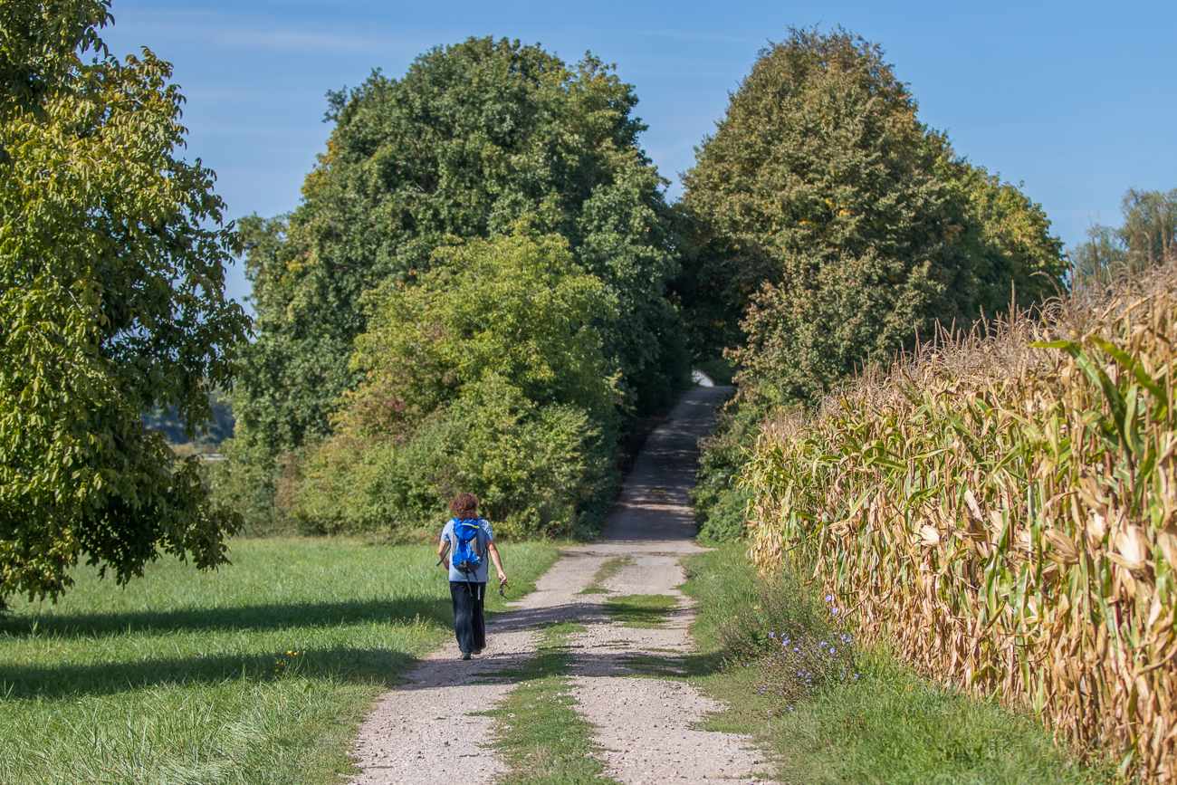 Leichter Anstieg voraus ;-)