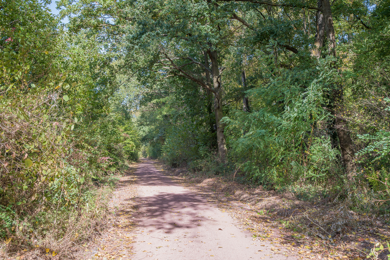 Der Bären- und Kätzelweg ist leider nicht ausgeschildert