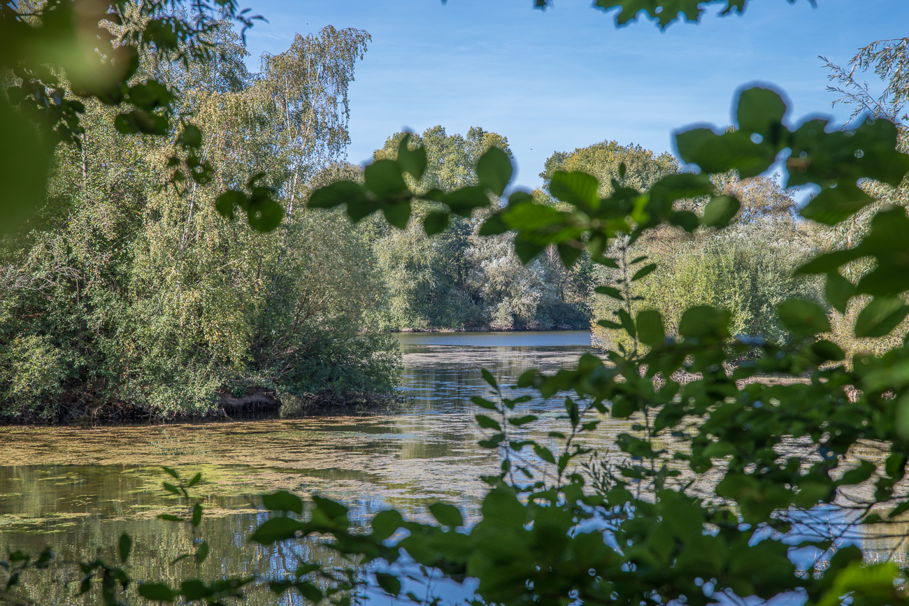 ... und machen sich aus dem Staub