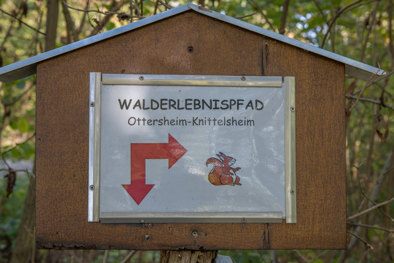 Der Walderlebnispfad ist Teil des Bären- und Kätzelweges