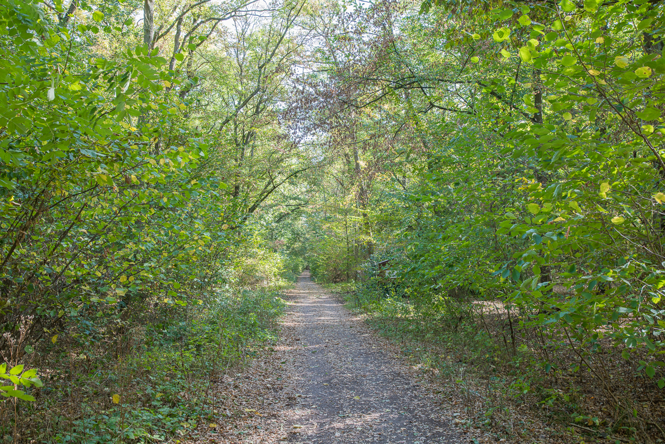 Auf dem Walderlebnispfad