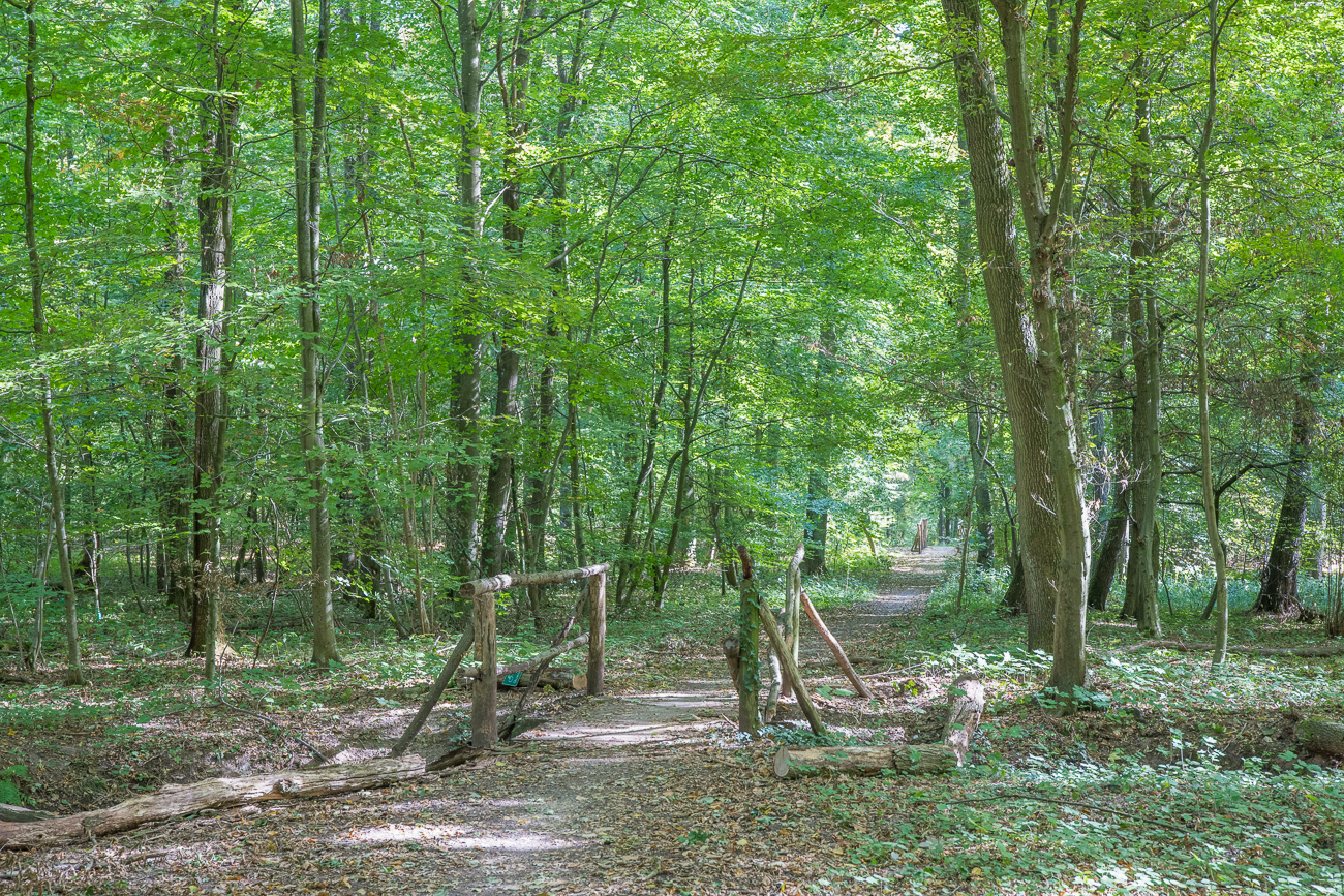 Brücke über einen Bach