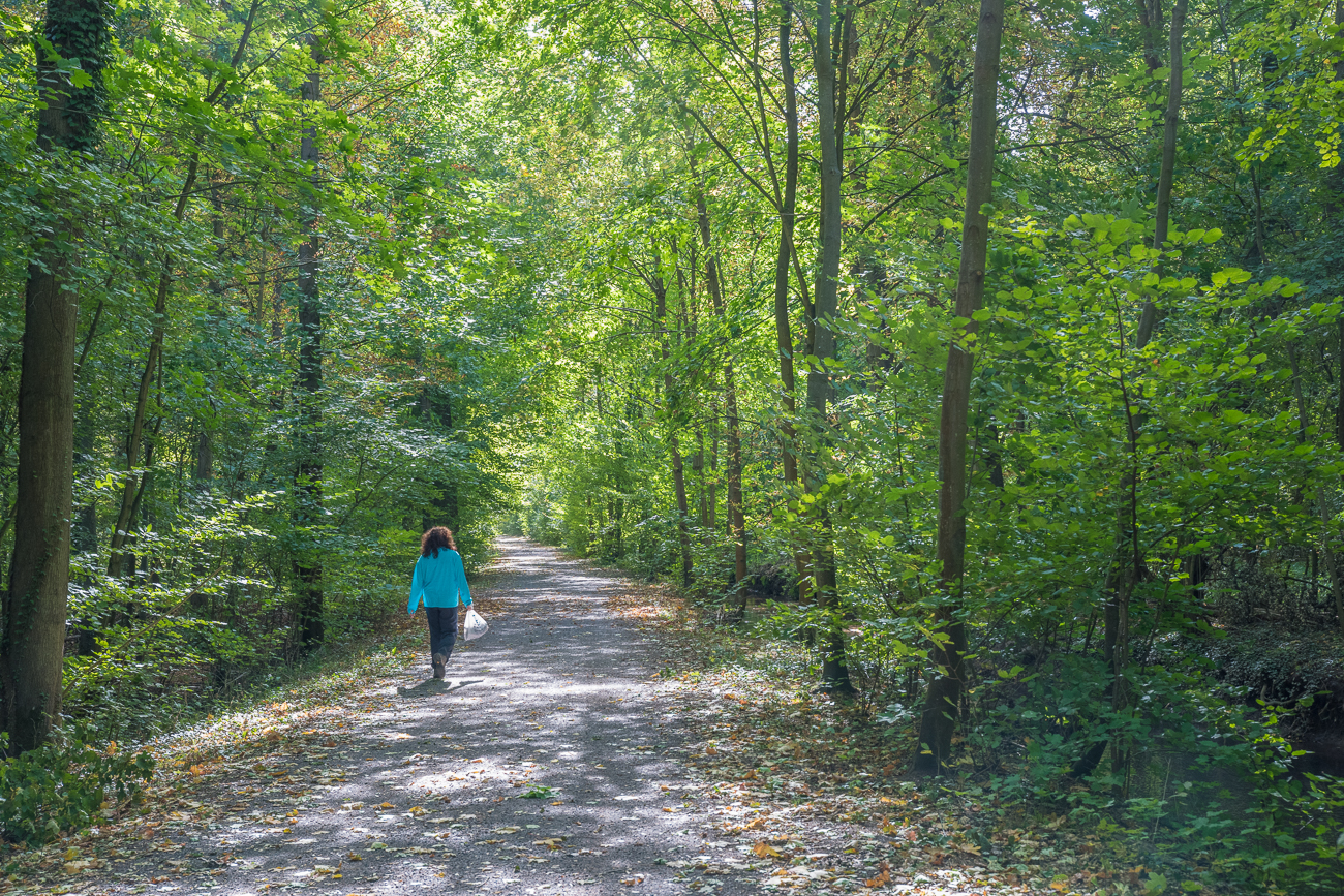 Unterwegs sammeln wir einige Zapfen