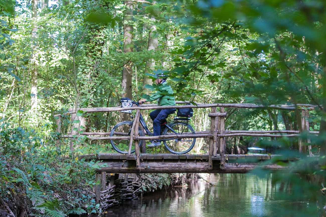 Brücke über dem Spiegelbach
