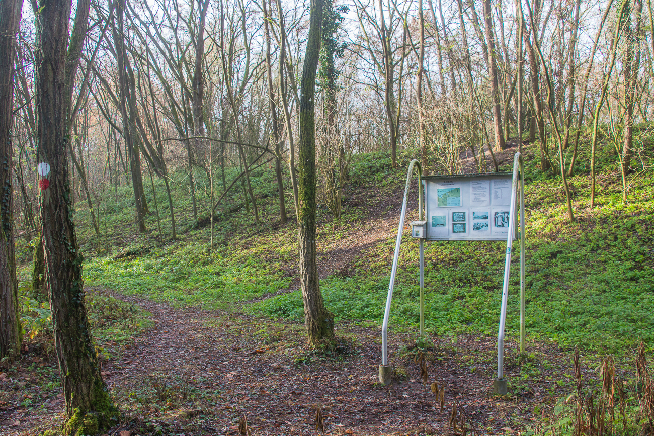 Der Wall gehört zu einer (nun gesprengten) Bunkeranlage (Befehlsbunker)