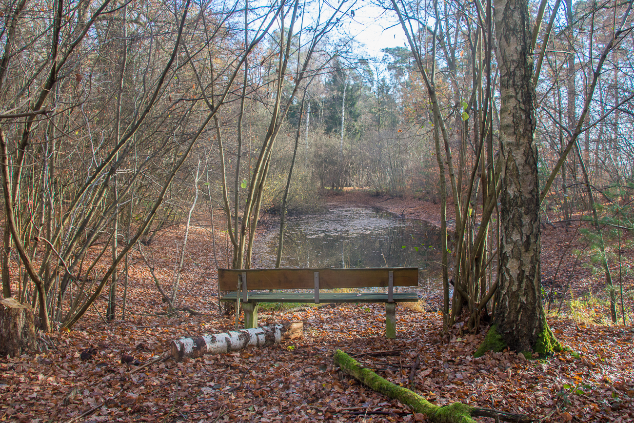Idyllisches Plätzchen, wenn das Wetter wärmer wäre