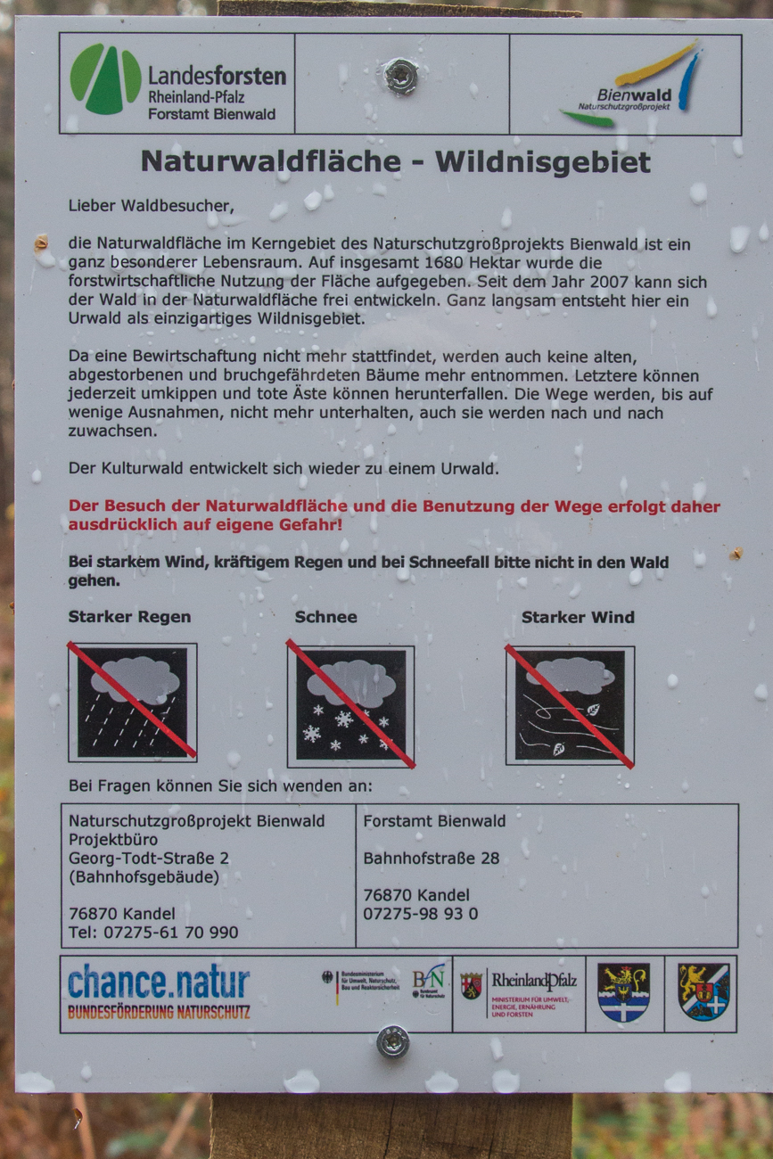 Warnung an die Waldbesucher