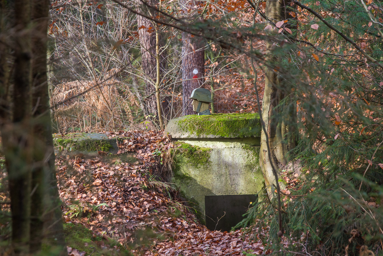 ... sind im Wald verstreut