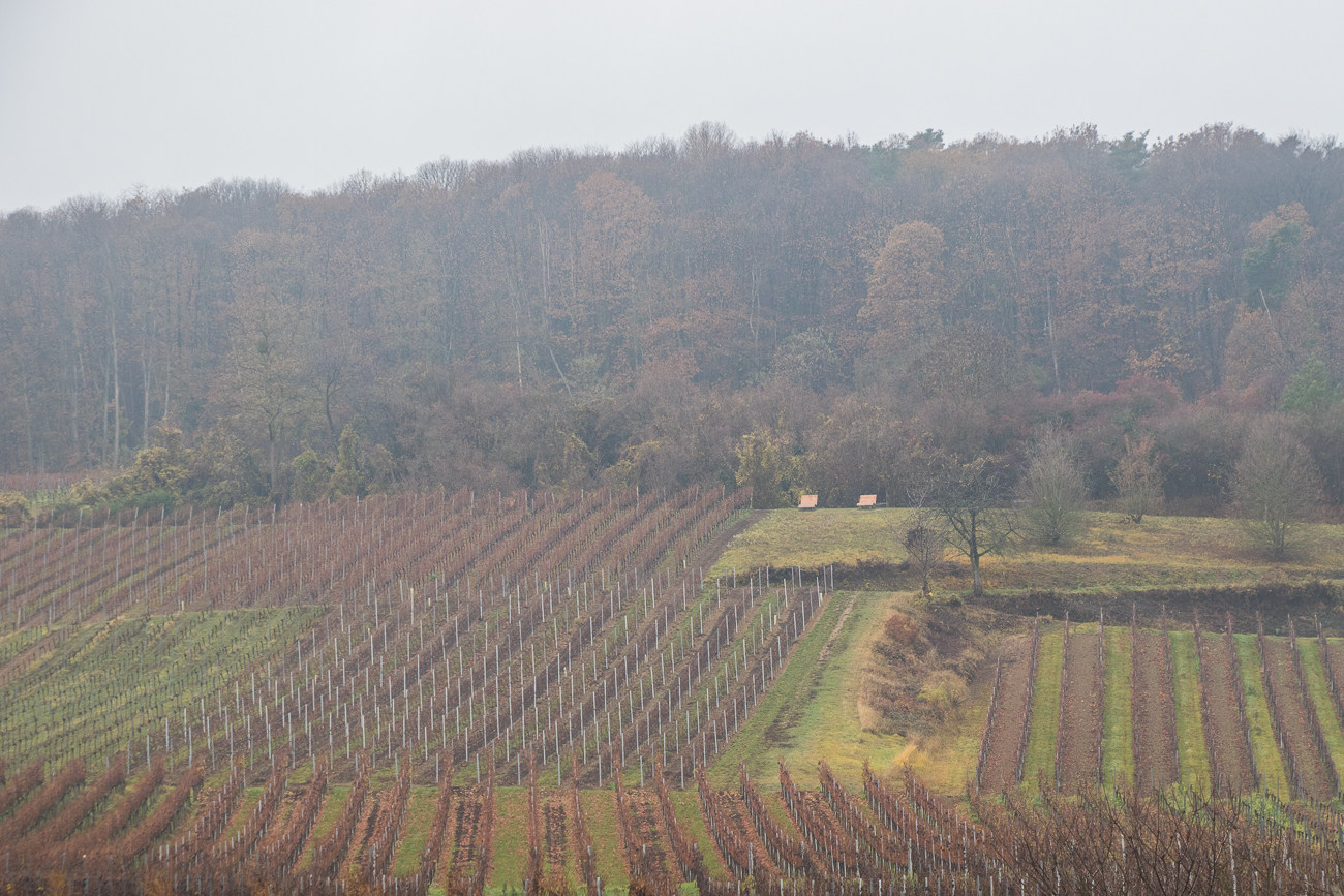 Die Bänke dort oben sind unser erstes Etappenziel