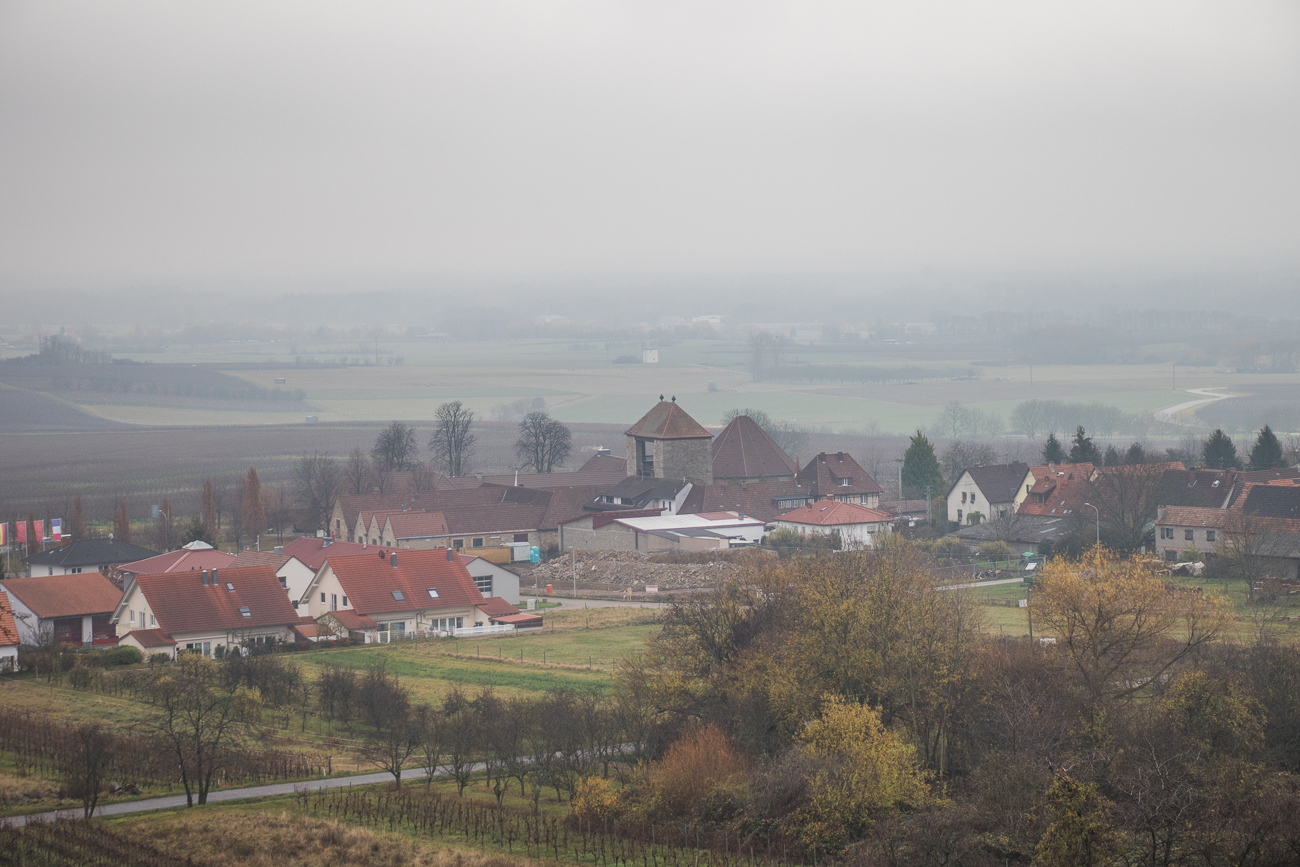 ... Blick von den Bänken zum Weintor