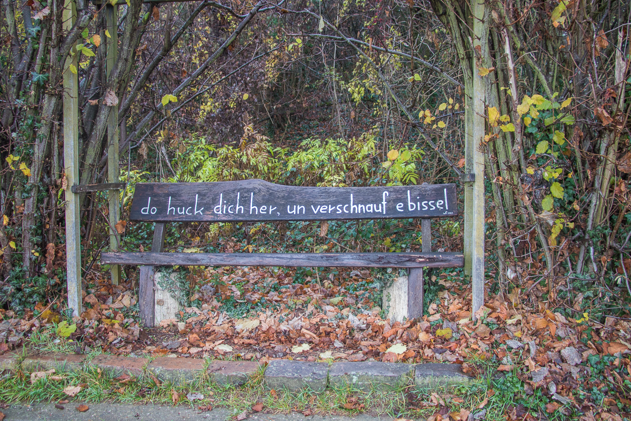 ... auf den Bänken ...