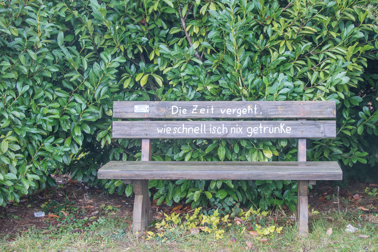 ... in den Weinbergen