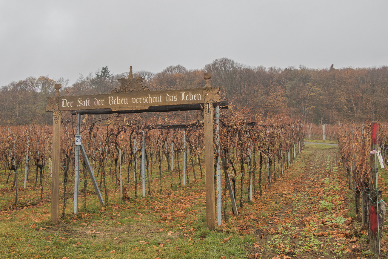 Aber nur, solange die Dosis stimmt ;-)