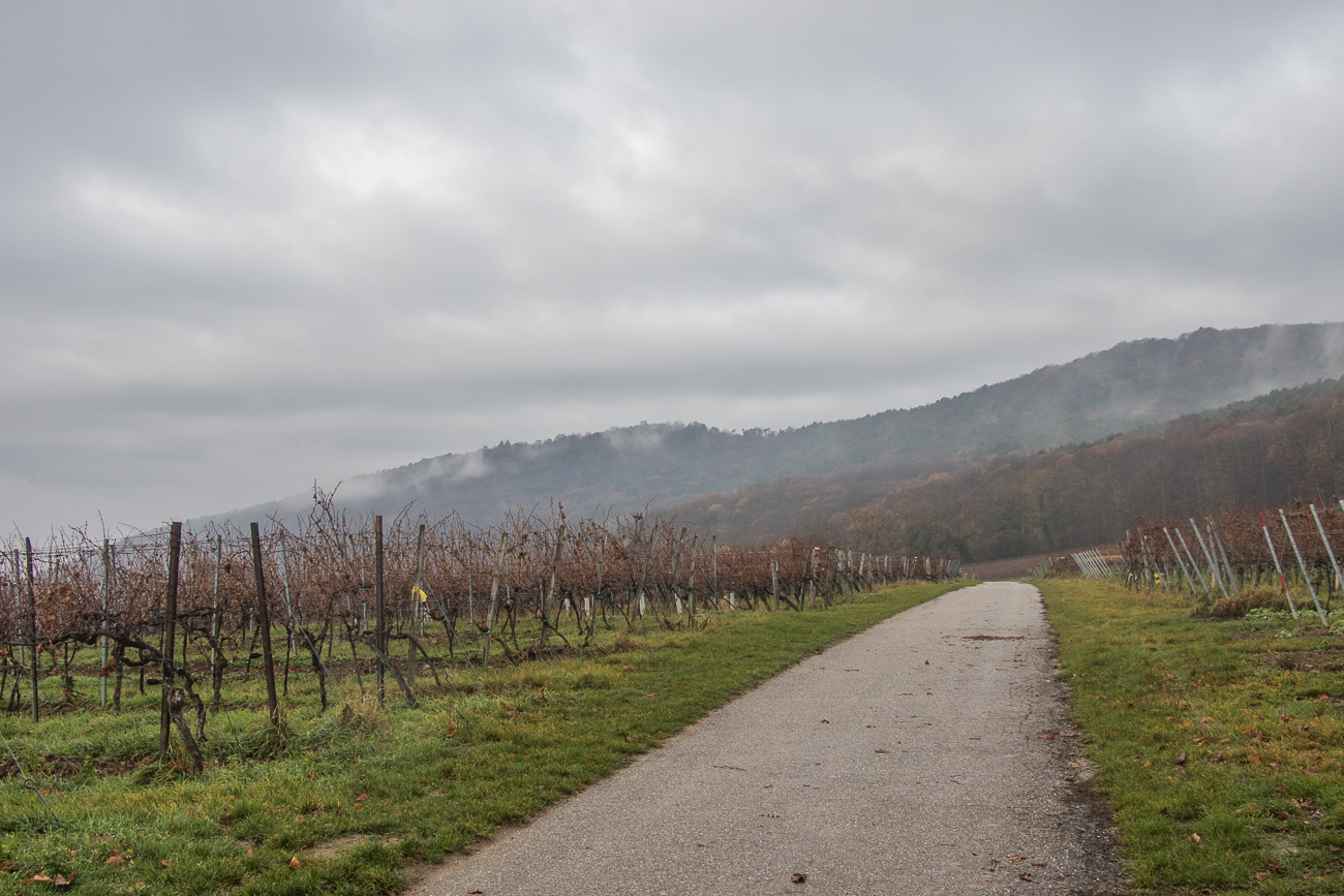 Das Wetter meint es heute nicht besonders gut