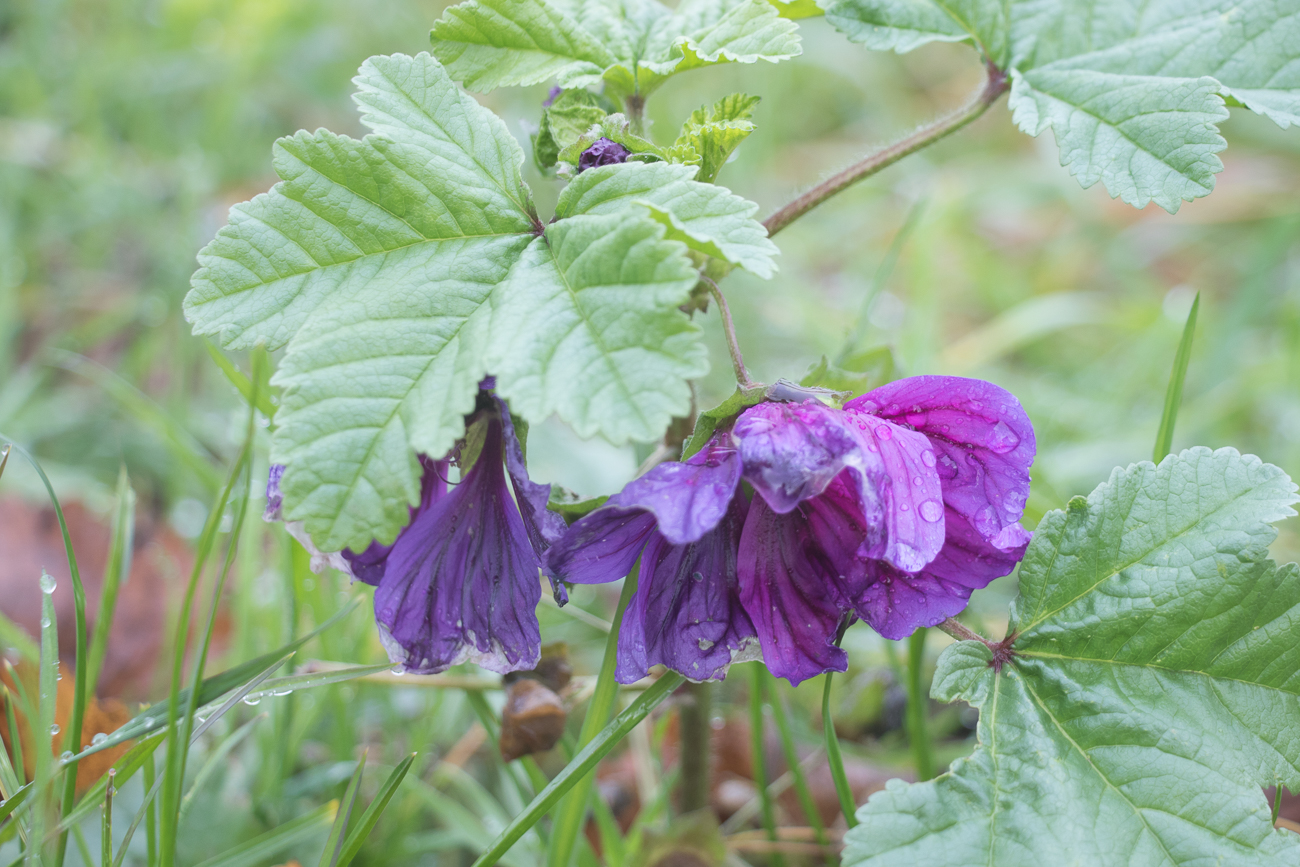 OK, manches lässt schon die Köpfe hängen ...