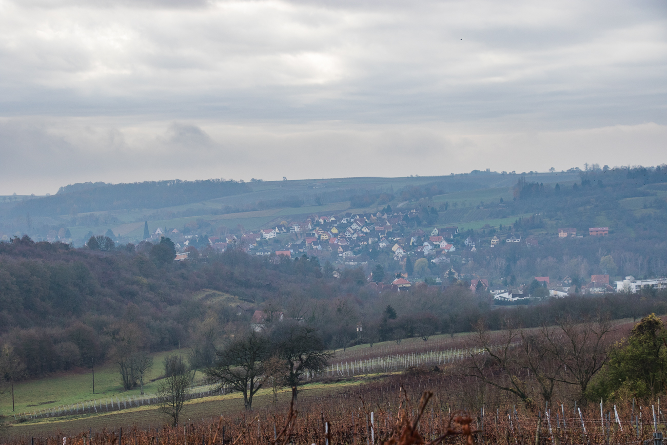 Wissembourg in Sichtweite