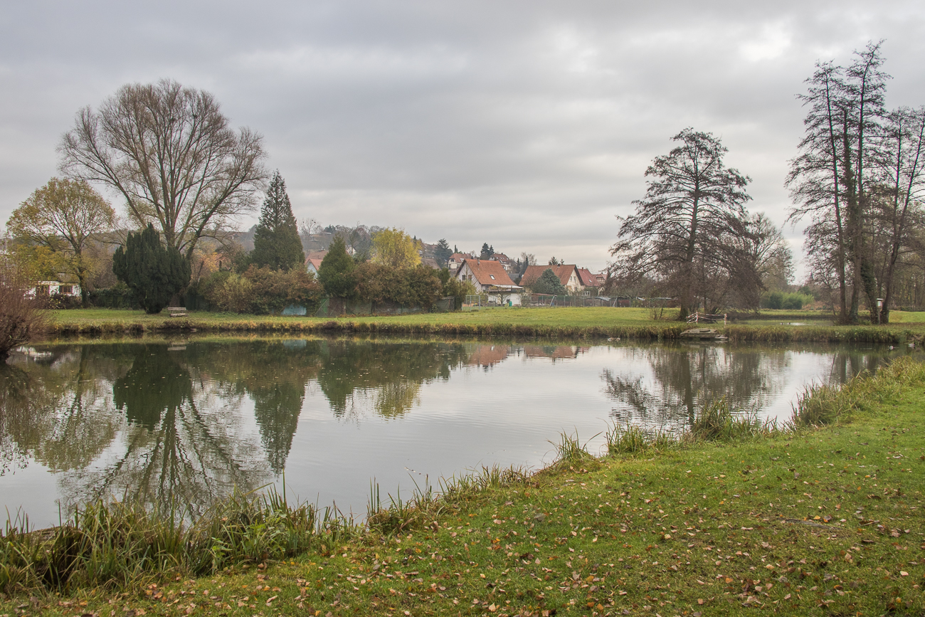 Weiher bei Wissembourg