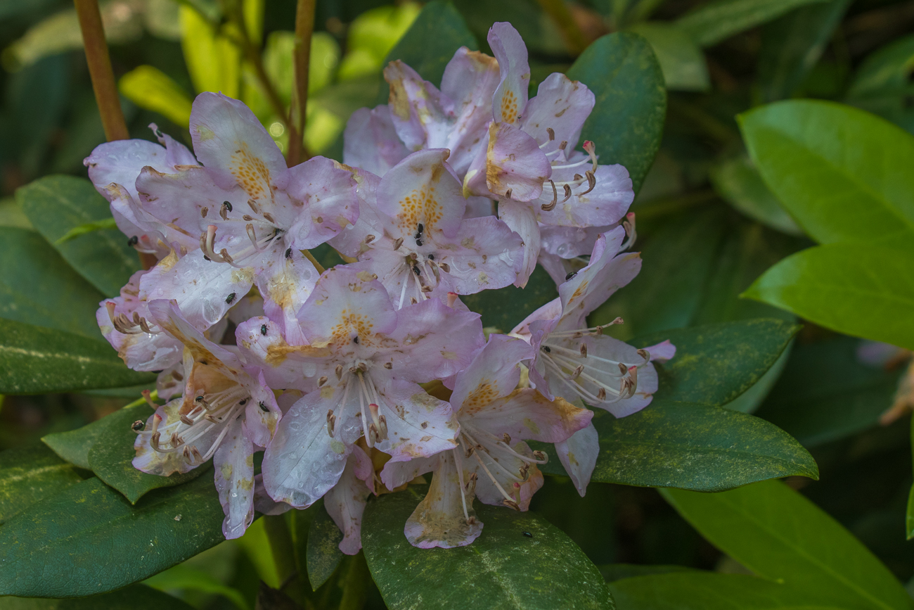 Leider sind wir drei Wochen zu spät dran ...