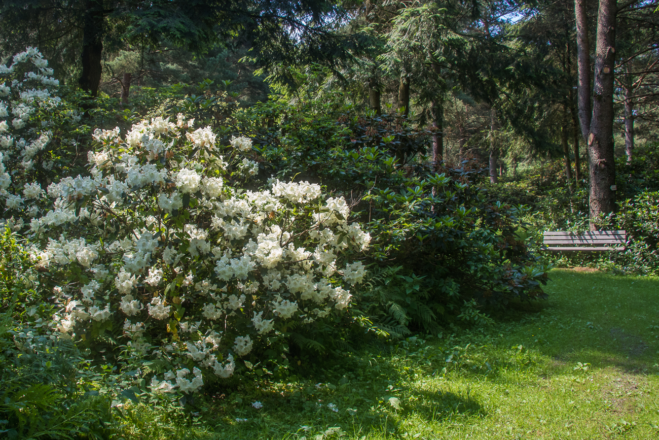 Eine Bank lädt zum Verweilen ein