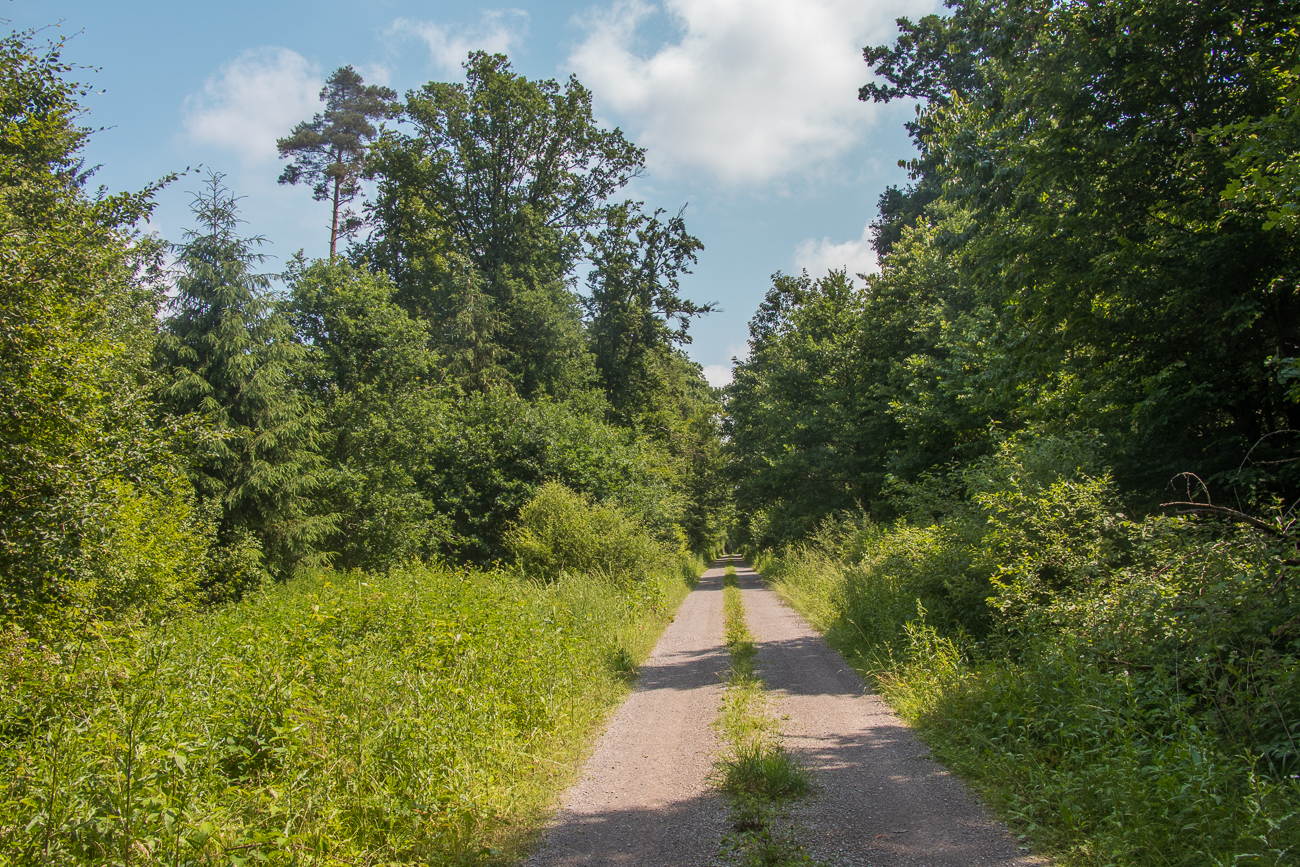 Auf der "Wanderautobahn" ;-)