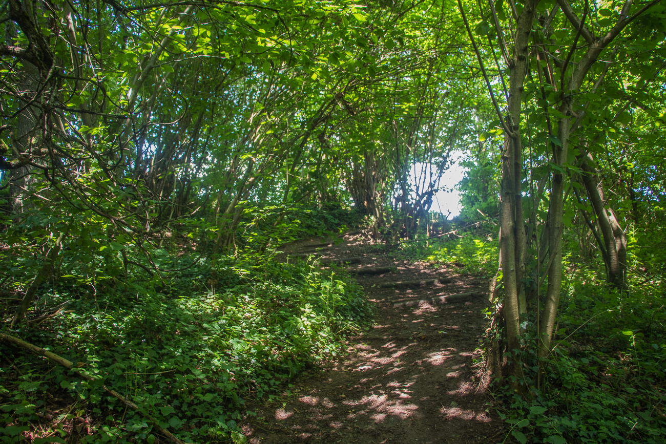 Hier geht es zu einem Bach hinab