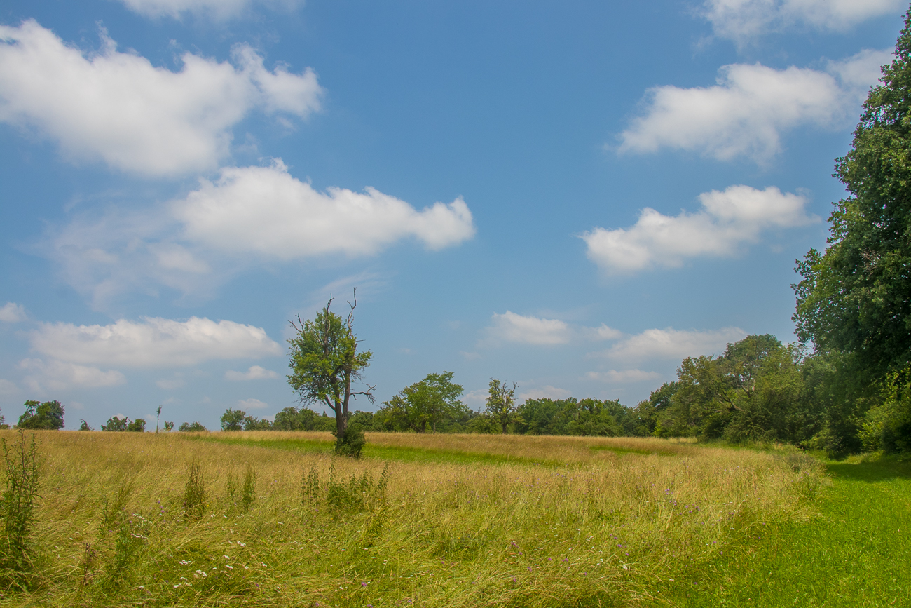 Einige Wanderungen die wir "Rund um Karlsruhe" unternommen haben