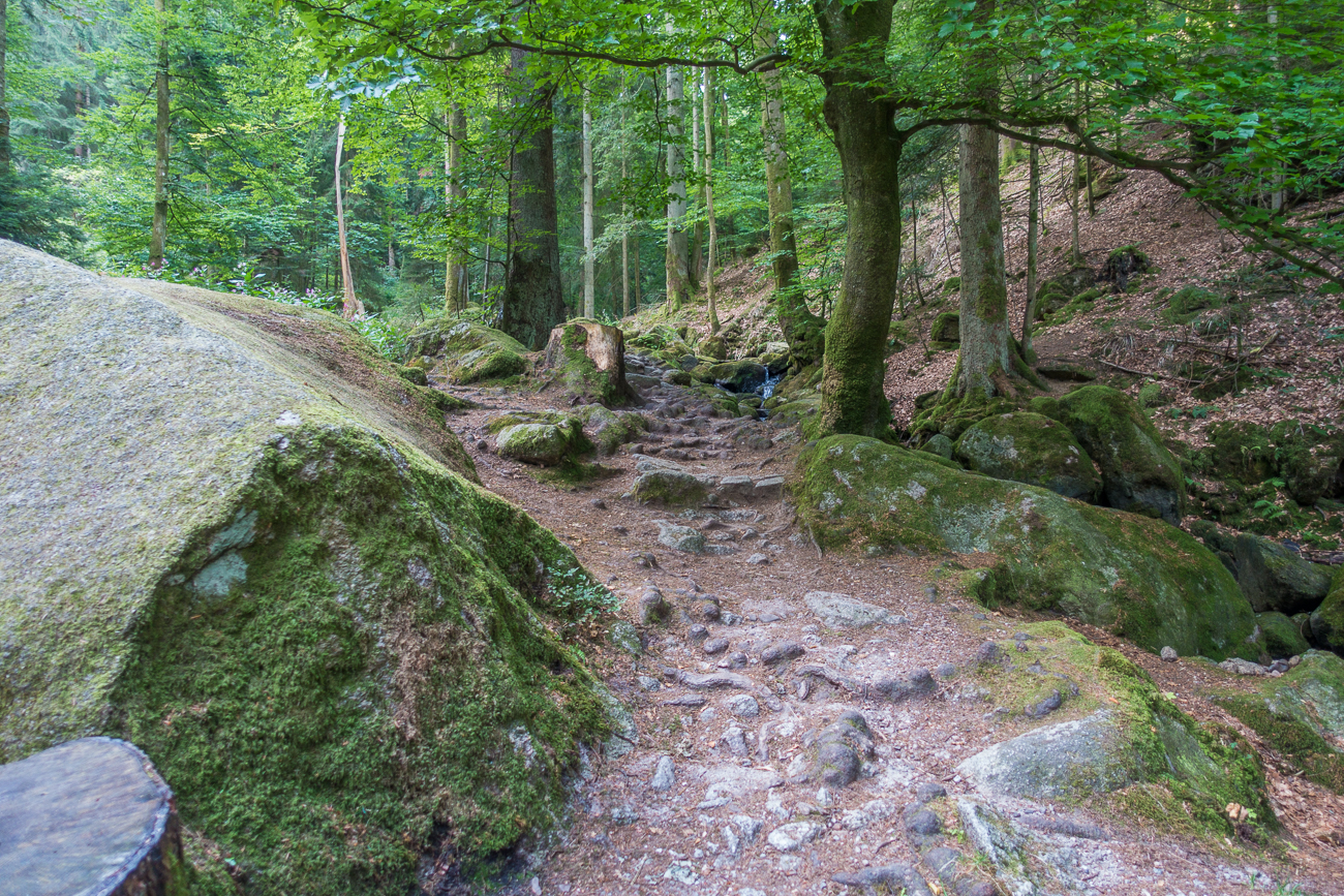 Holpriger Wanderweg, aber sehr schön