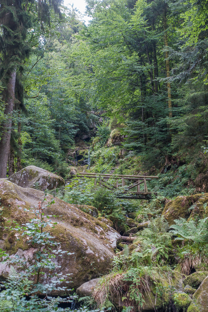 Und immer noch geht es aufwärts