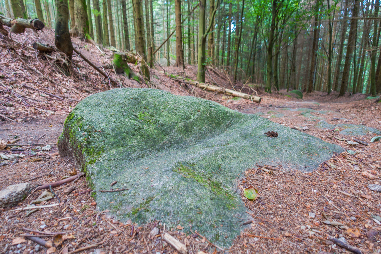 Radspuren früherer Ochsenkarren