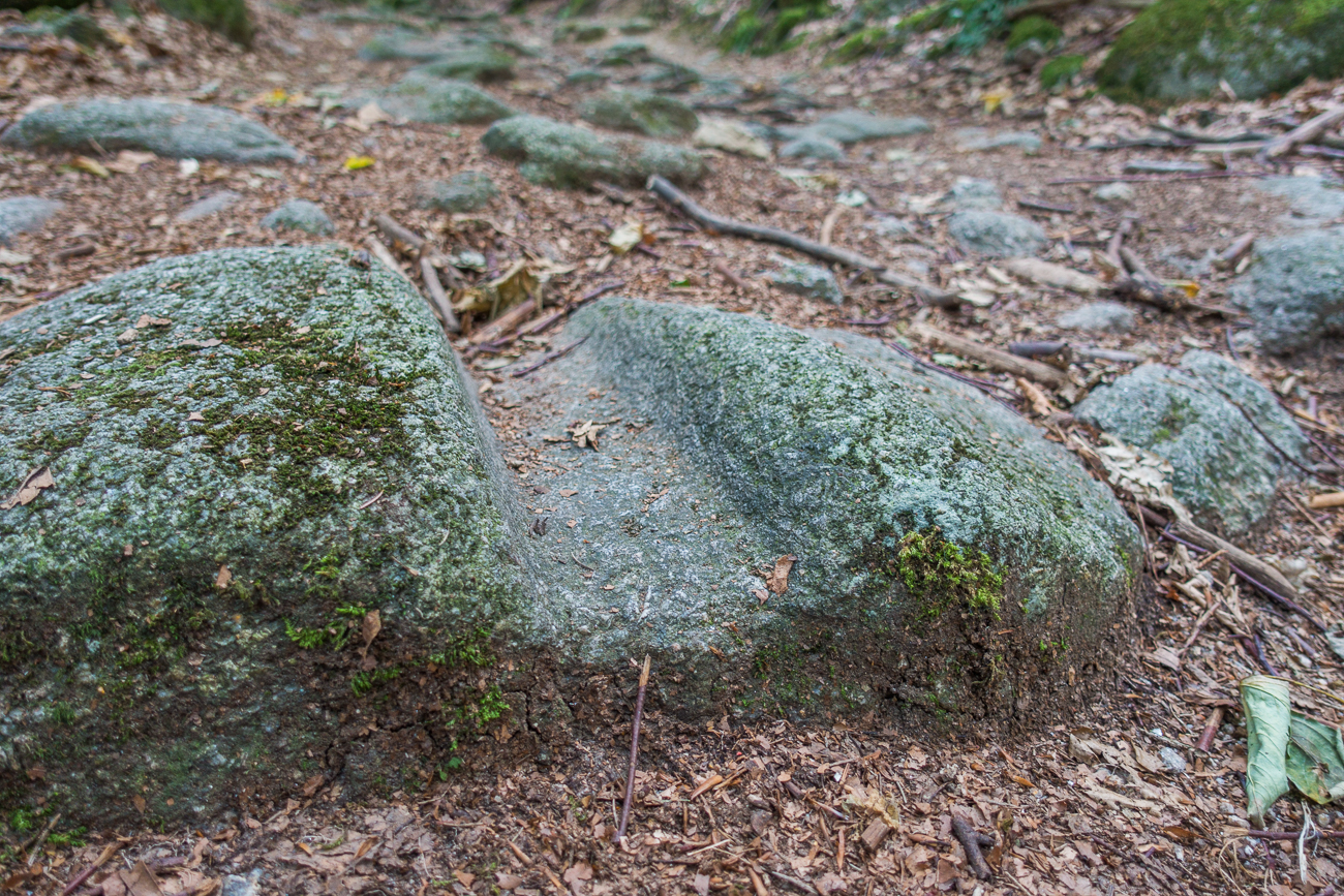 Radspuren früherer Ochsenkarren