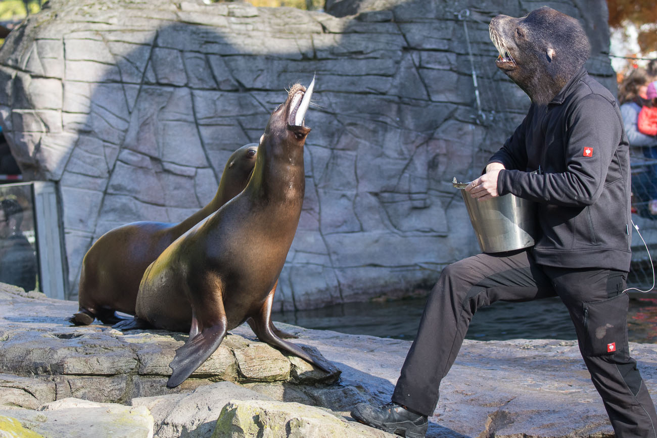 Die Nahrung wird geschickt aufgefangen