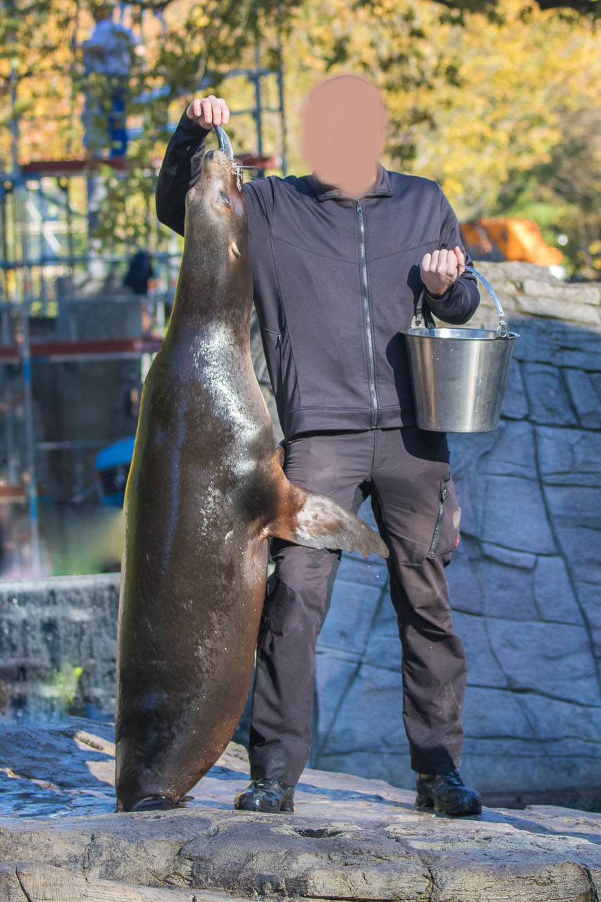 Aber auch direkt aus der Hand wird gefressen